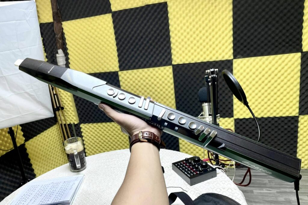 Kèn điện tử giá khu vực Hồ Chí Minh