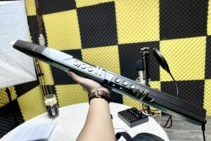 Kèn điện tử giá sinh viên chọn sao tiết kiệm và bền