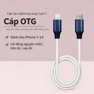 Dây Cáp Thu Âm OTG Lightning to Type-C